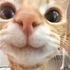 pubkskittlez_